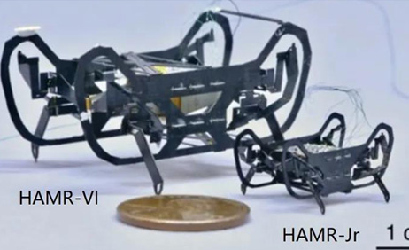 哈佛大學微型機器人突破又一極限！縮小至HAMR一半大小僅重0.3克！